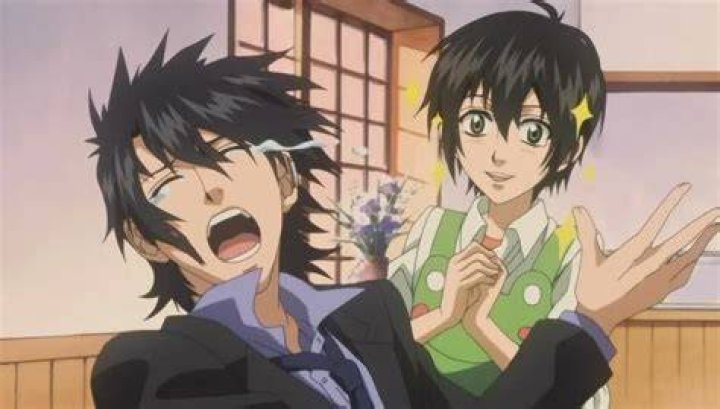 Are Miharu and tobari related?