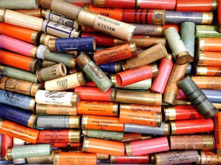 Can I buy shotgun cartridges without a Licence?
