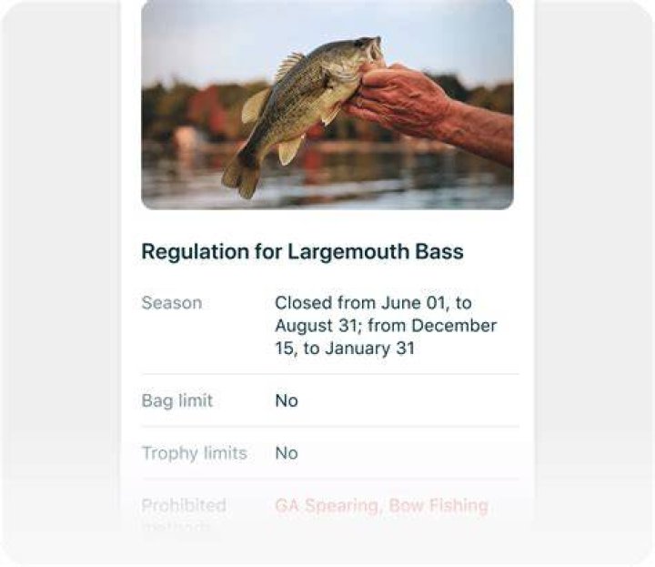 Can I get my Idaho fishing license online?