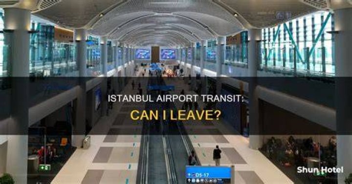 Can I go out of airport during transit in Istanbul?