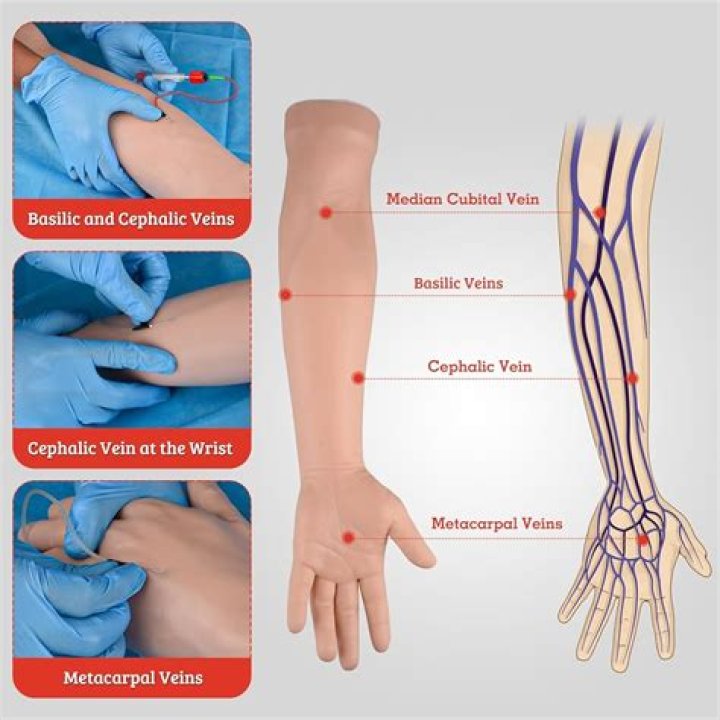 Can you do phlebotomy training online?