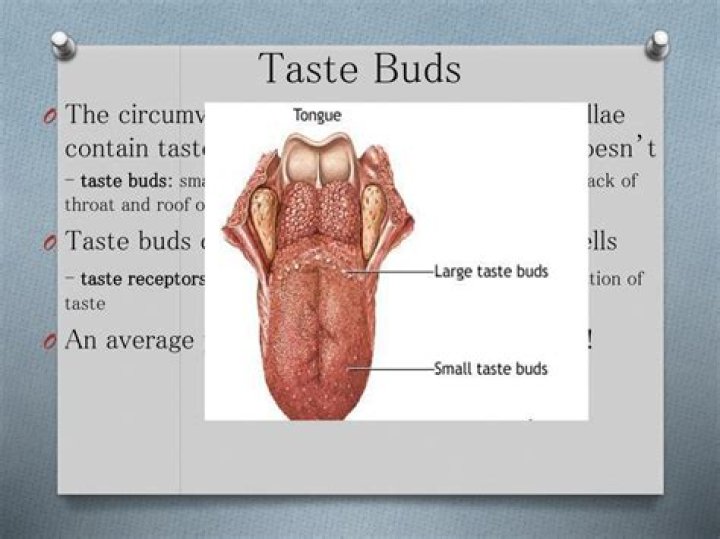 Do your taste buds change when you lose weight?