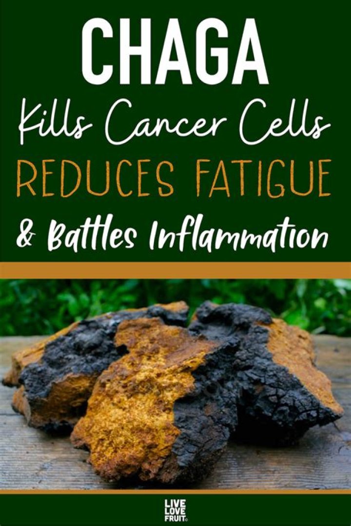 Does chaga interact with medications?