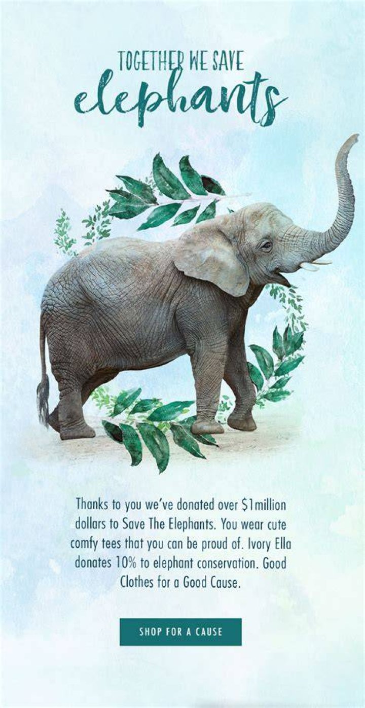 Does ivory Ella actually help elephants?
