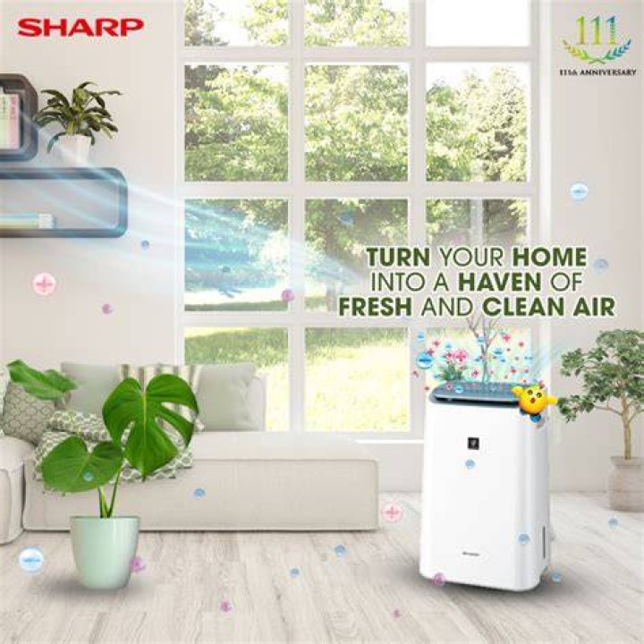 Does Sharp Plasmacluster air purifier work?