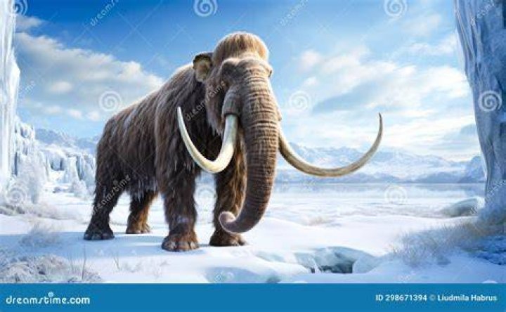 How big is mammoth poop?