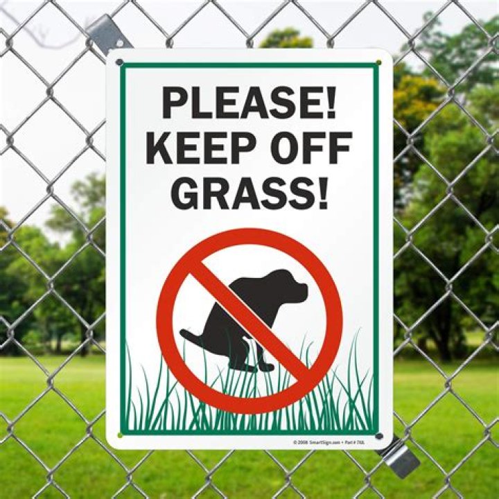 How can I keep dogs off my lawn?