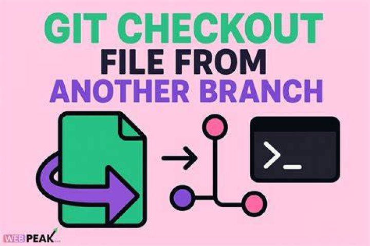 How do I checkout a file from a branch?