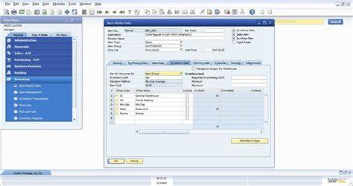 How do I download software documents in SAP?