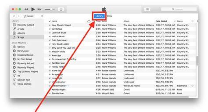 How do I edit iTunes library?