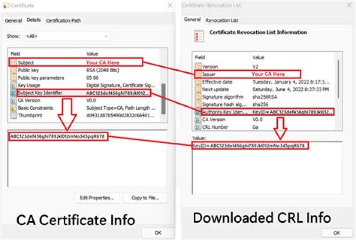 How do I find my certificate authority URL?
