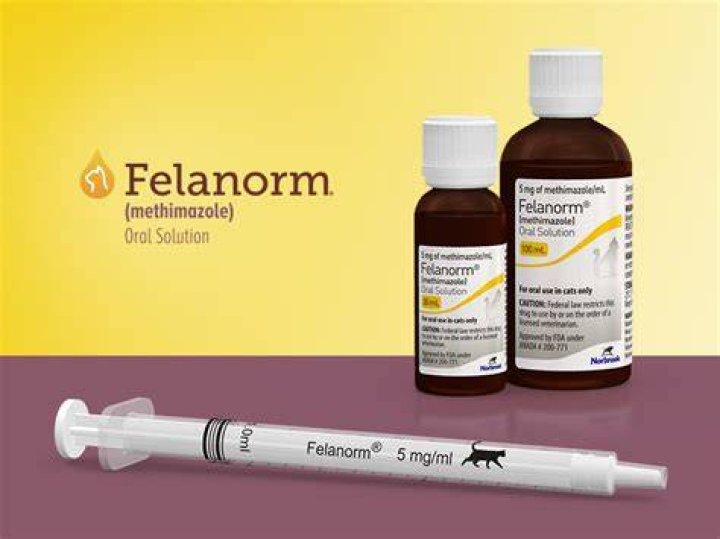 How do you give methimazole gel to cats?