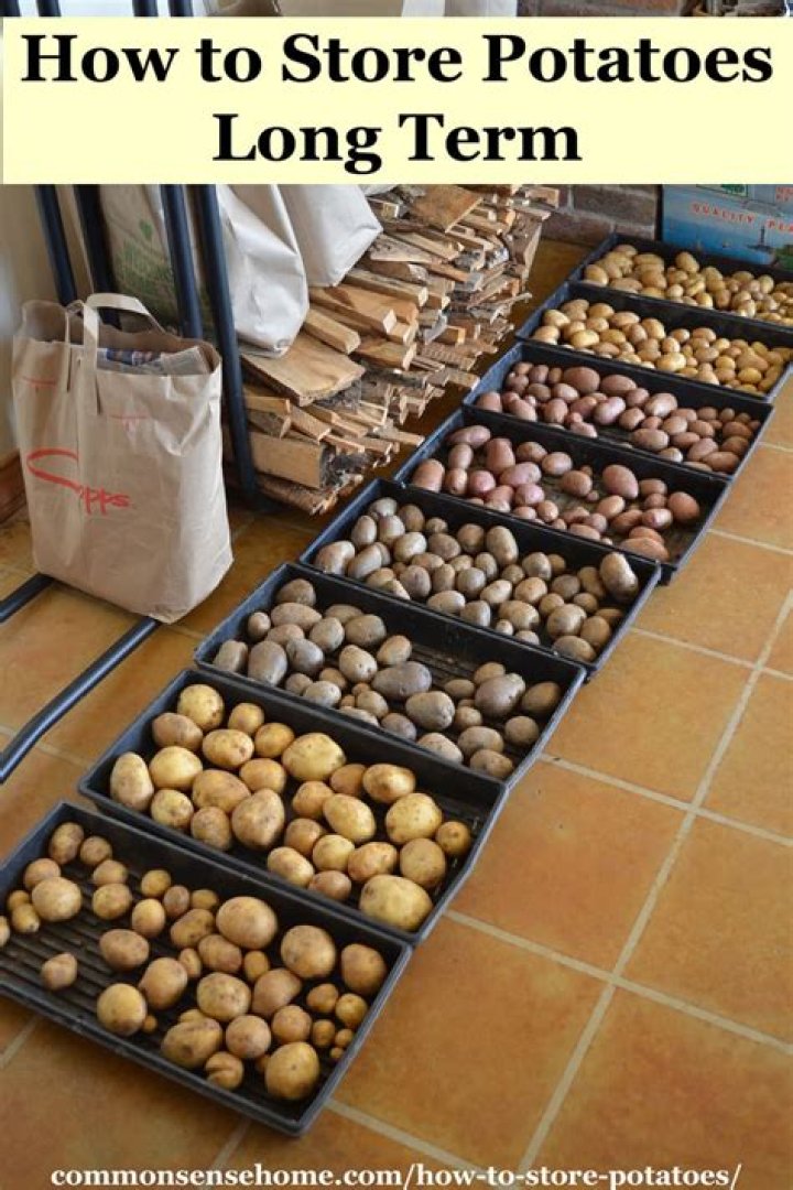 How do you store home grown potatoes long term?