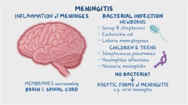 How does an infant get meningitis?