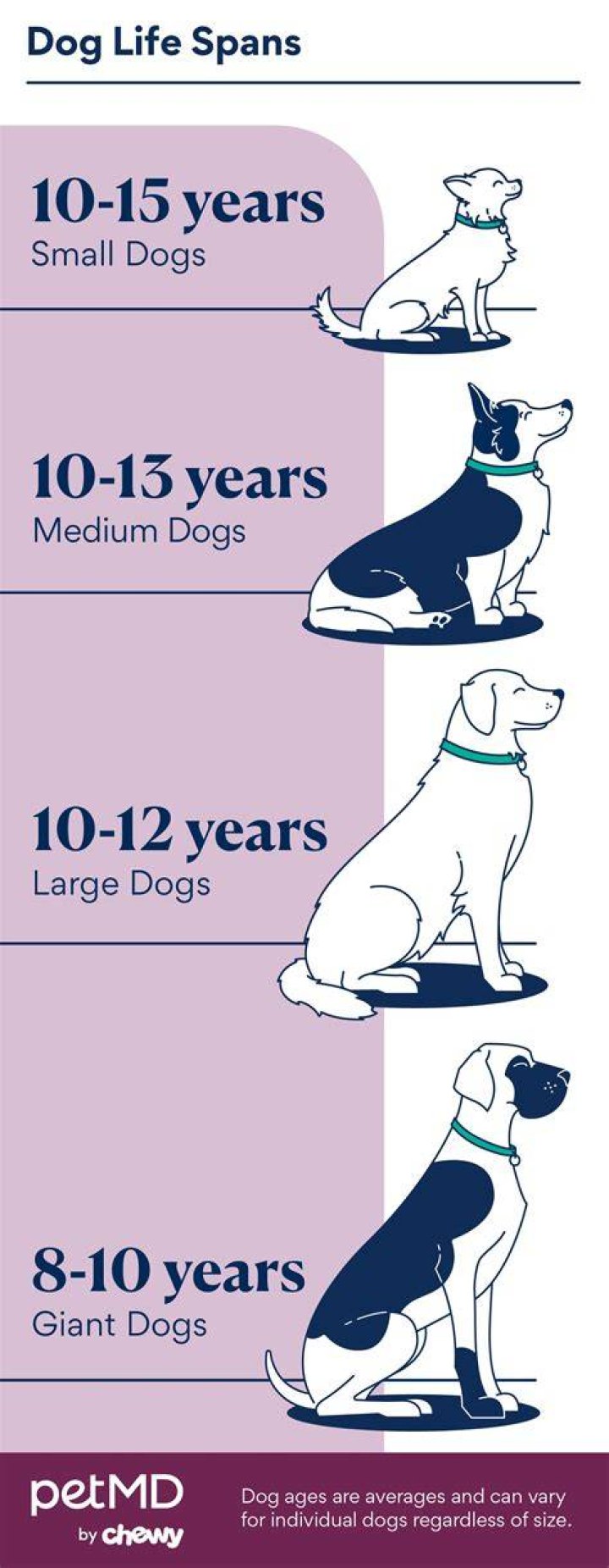 How Long Can dogs live on heart medication?
