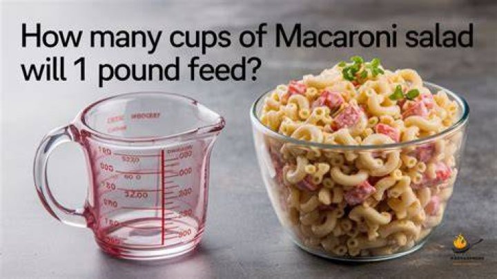 How many cups is 1 pound of rigatoni?