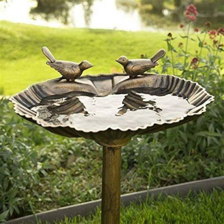 How many mL is a bird bath?
