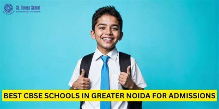 How many schools are there in Greater Noida?