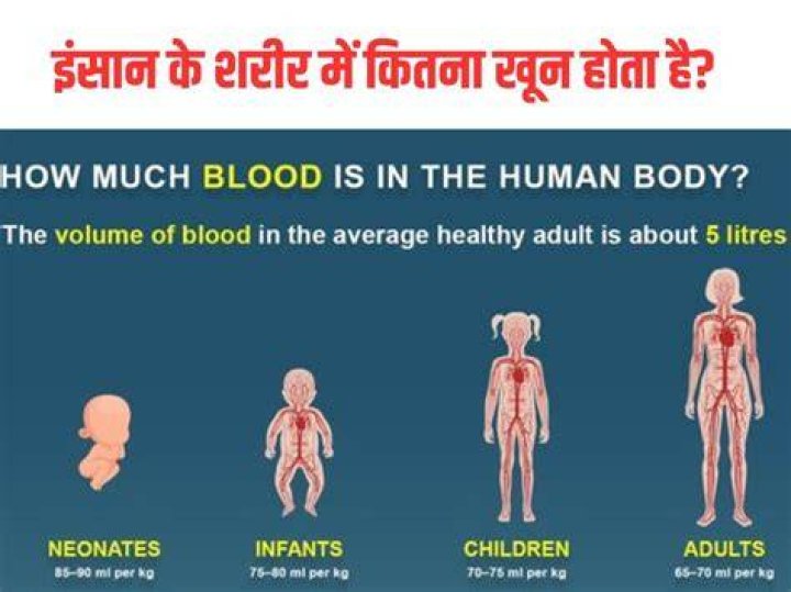 How much blood does a person need to survive?