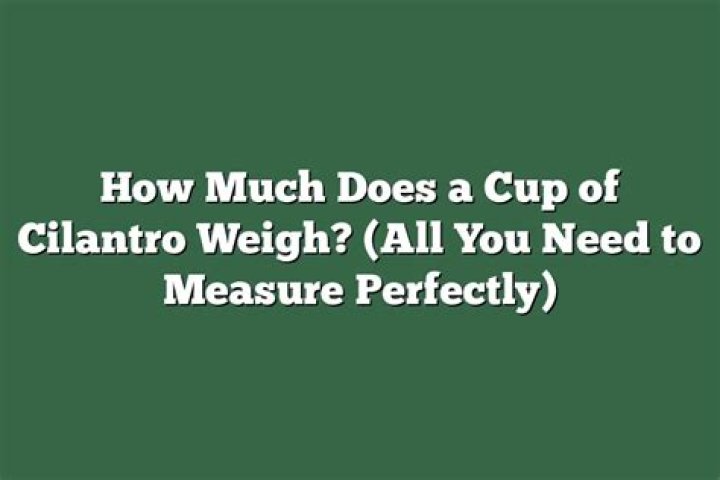 How much does 1 cup chopped cilantro weigh?
