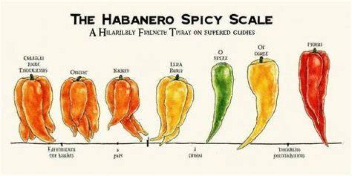 How much does half a teaspoon of pepper weigh?