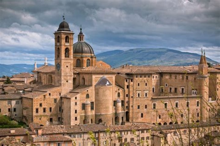 How old is Urbino?