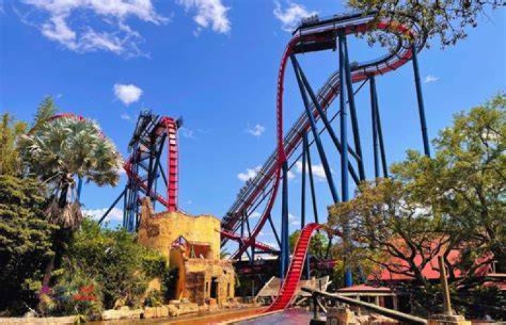 How tall is the SheiKra at Busch Gardens?