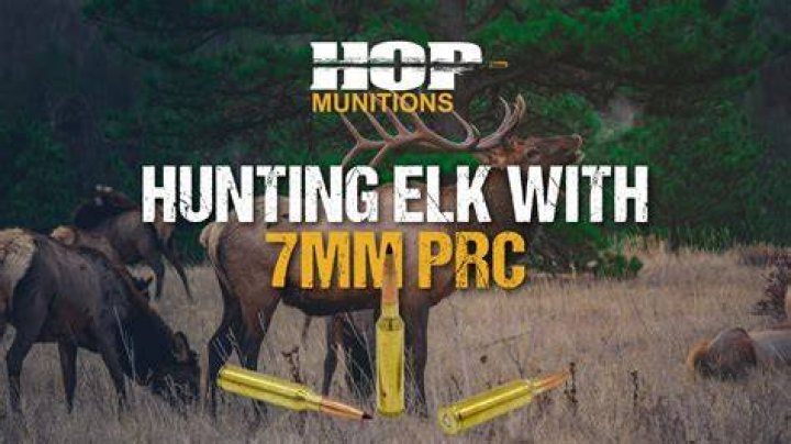 Is a 7mm STW good for elk hunting?