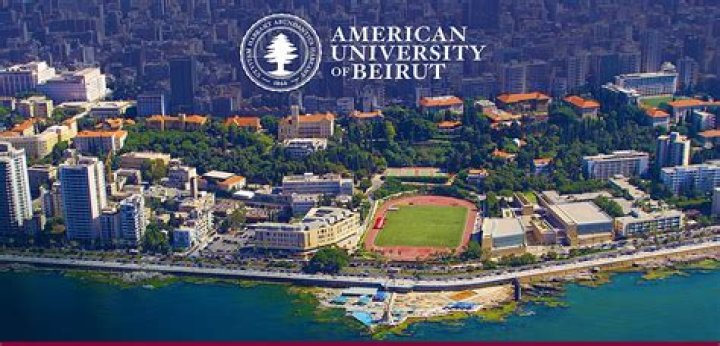 Is American University of Beirut a good school?