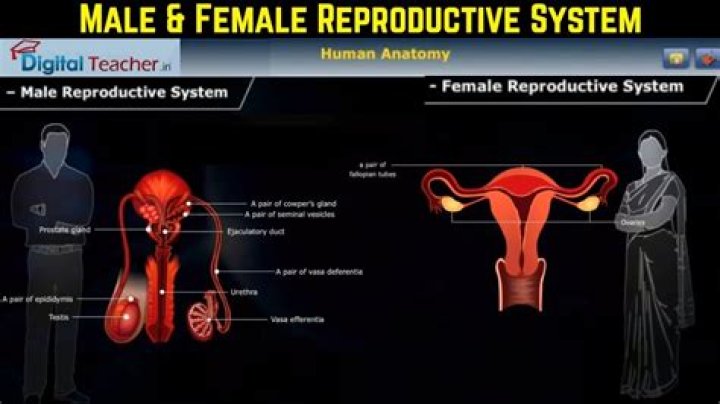 Is Issa a male or female name?