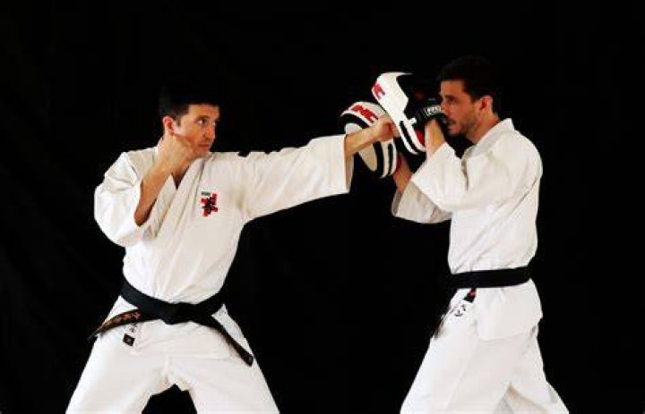 Is Shorinji Kempo practical?