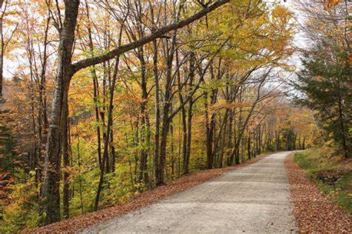 Is Tripoli road in New Hampshire Open?
