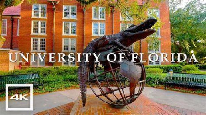 Is University of Florida good for animation?