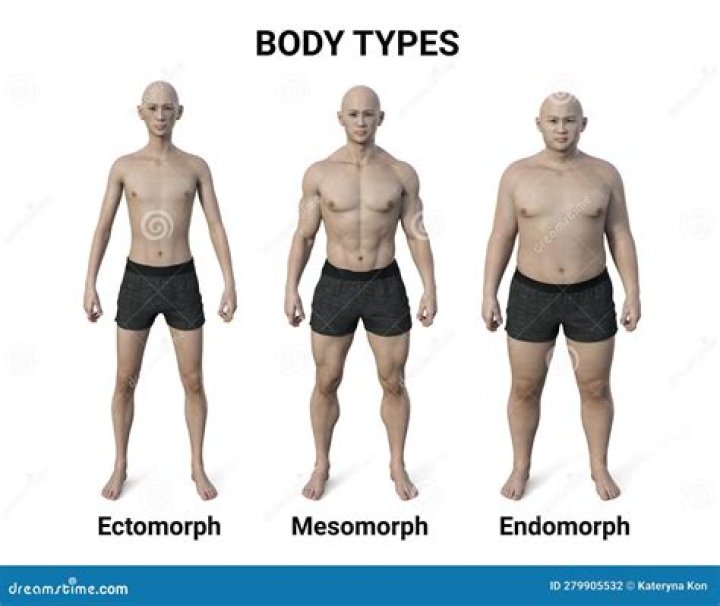 Por que o ectomorfo e mais saudavel?