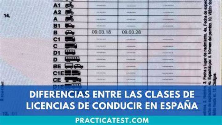 Que significa la letra D en la licencia de conducir?