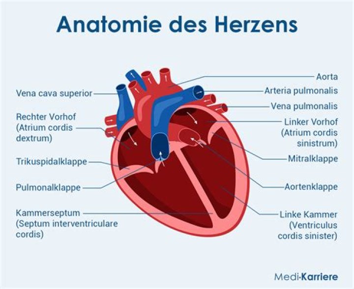 Was Cordis Die real?