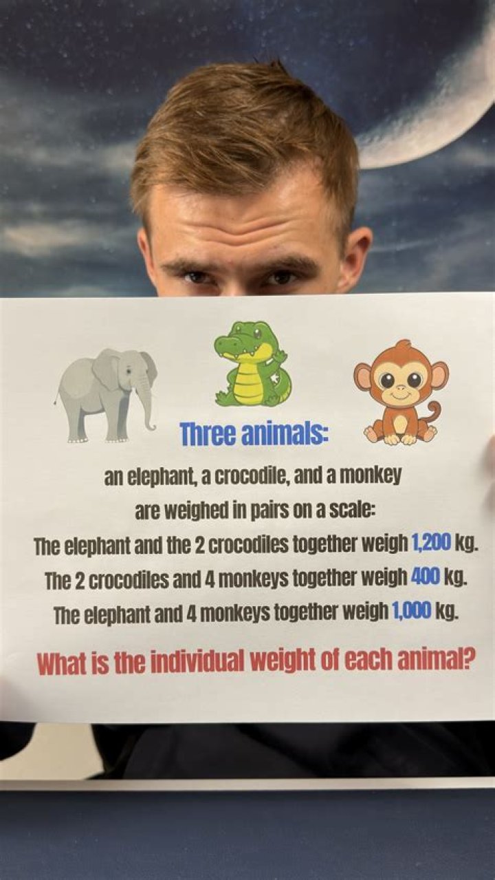What animal weighs 300g?