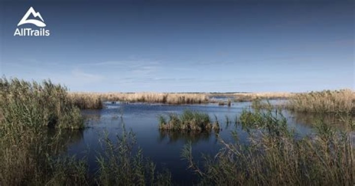 What animals are at Anahuac National Wildlife Refuge?