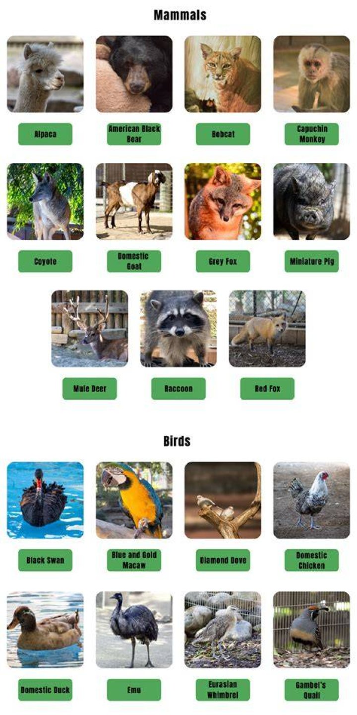 What animals are in Merced?