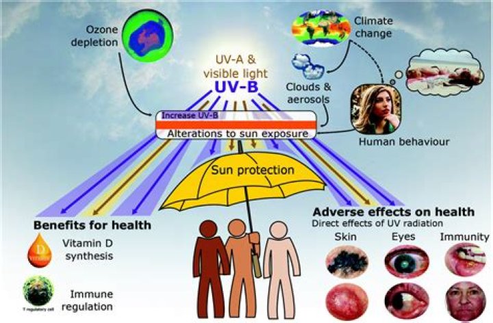 What are 5 harmful effects of UV rays on humans?