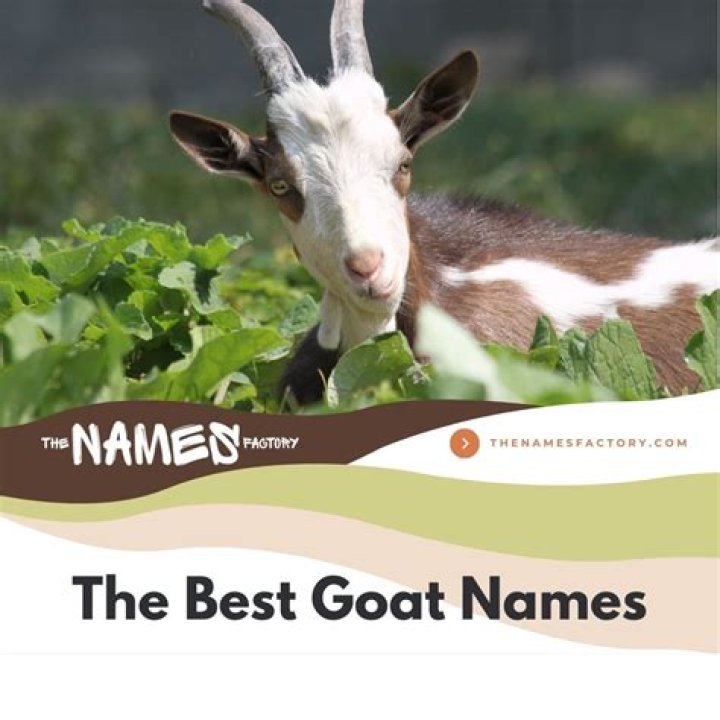 What are some cool names for goats?