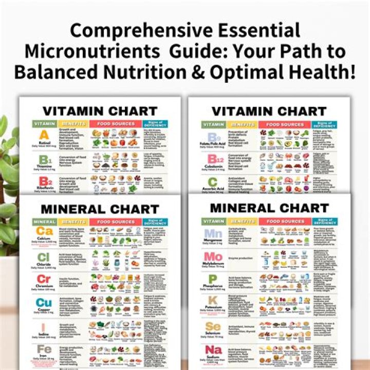 What are the 14 essential vitamins?