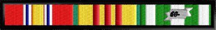 What are the 3 Vietnam ribbons?