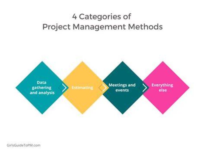 What are the 4 types of project management?