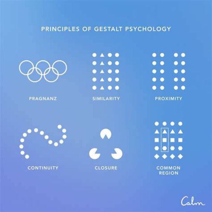 What are the 5 principles of the gestalt principle?