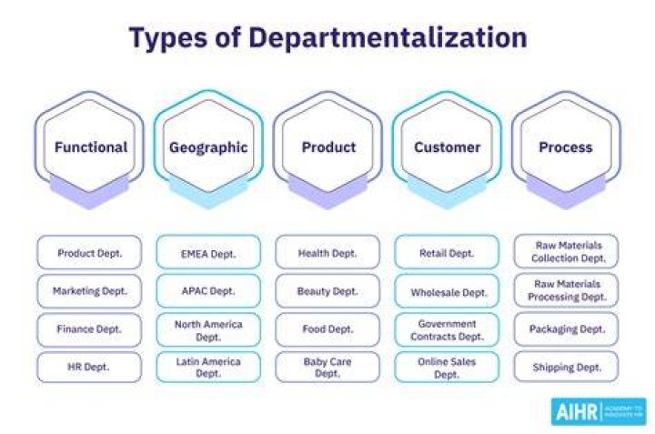 What are the 5 types of departmentalization?