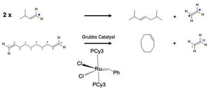 What are the examples of metathesis?