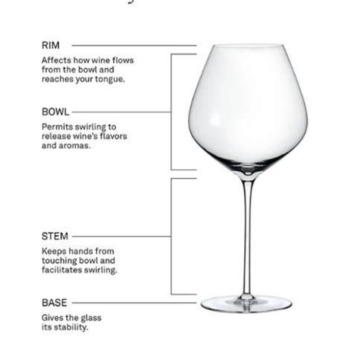 What are the four parts of the wine glass?