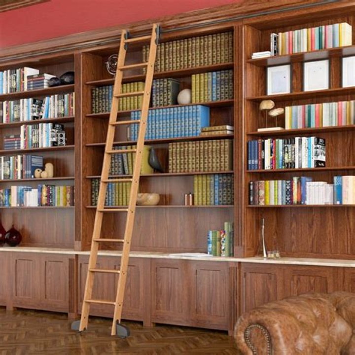 What are the ladders in libraries called?