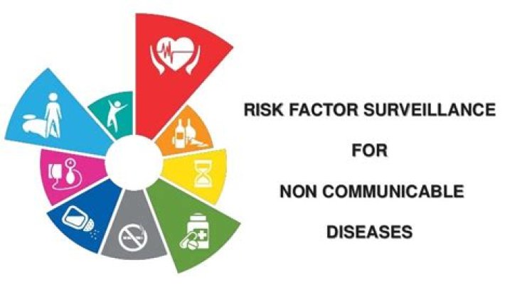 What are the risk factor of non communicable disease?